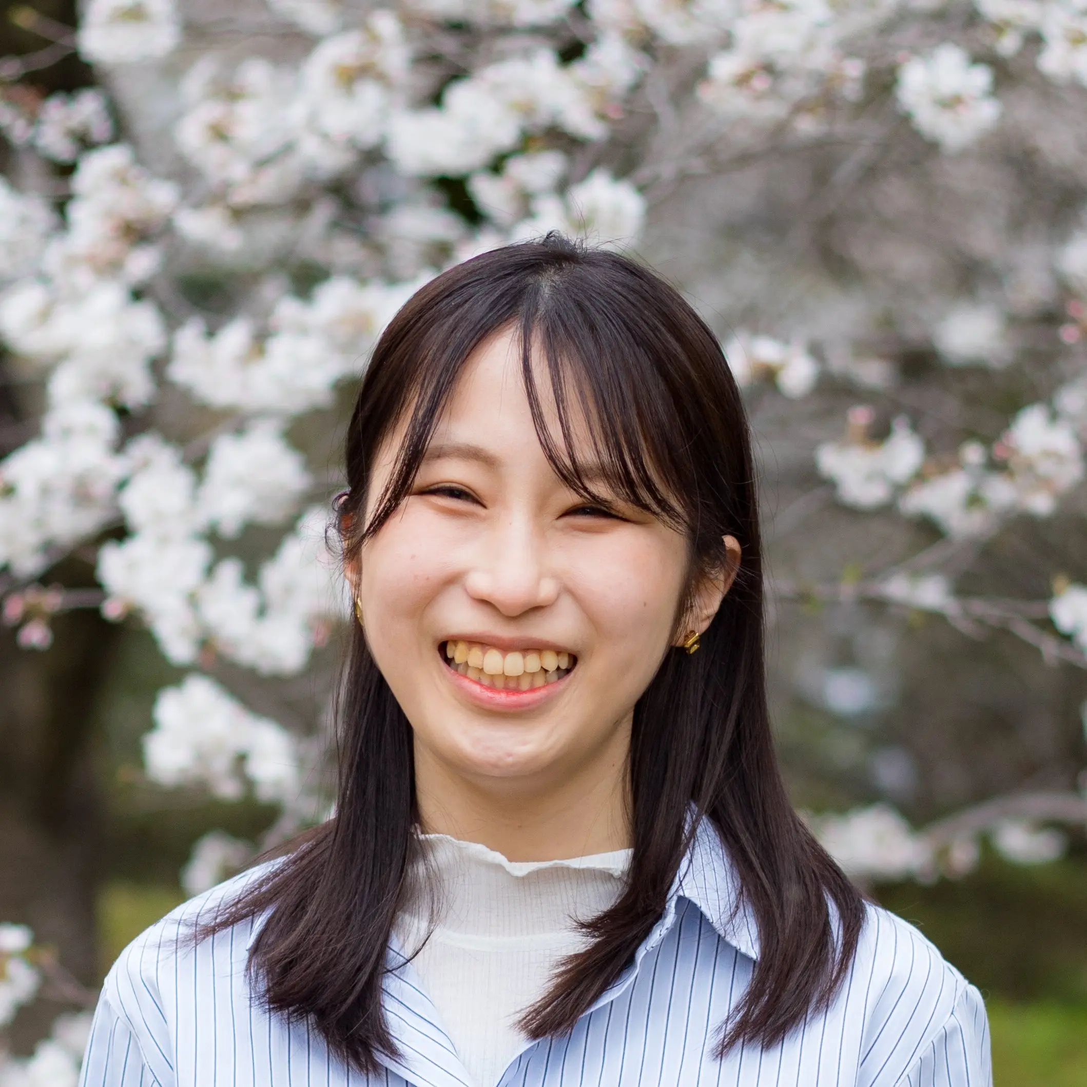 加藤愛梨の画像