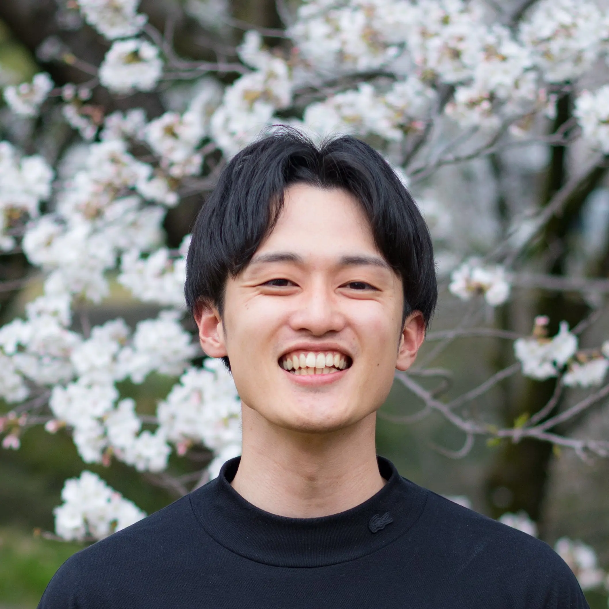 髙橋海采の画像