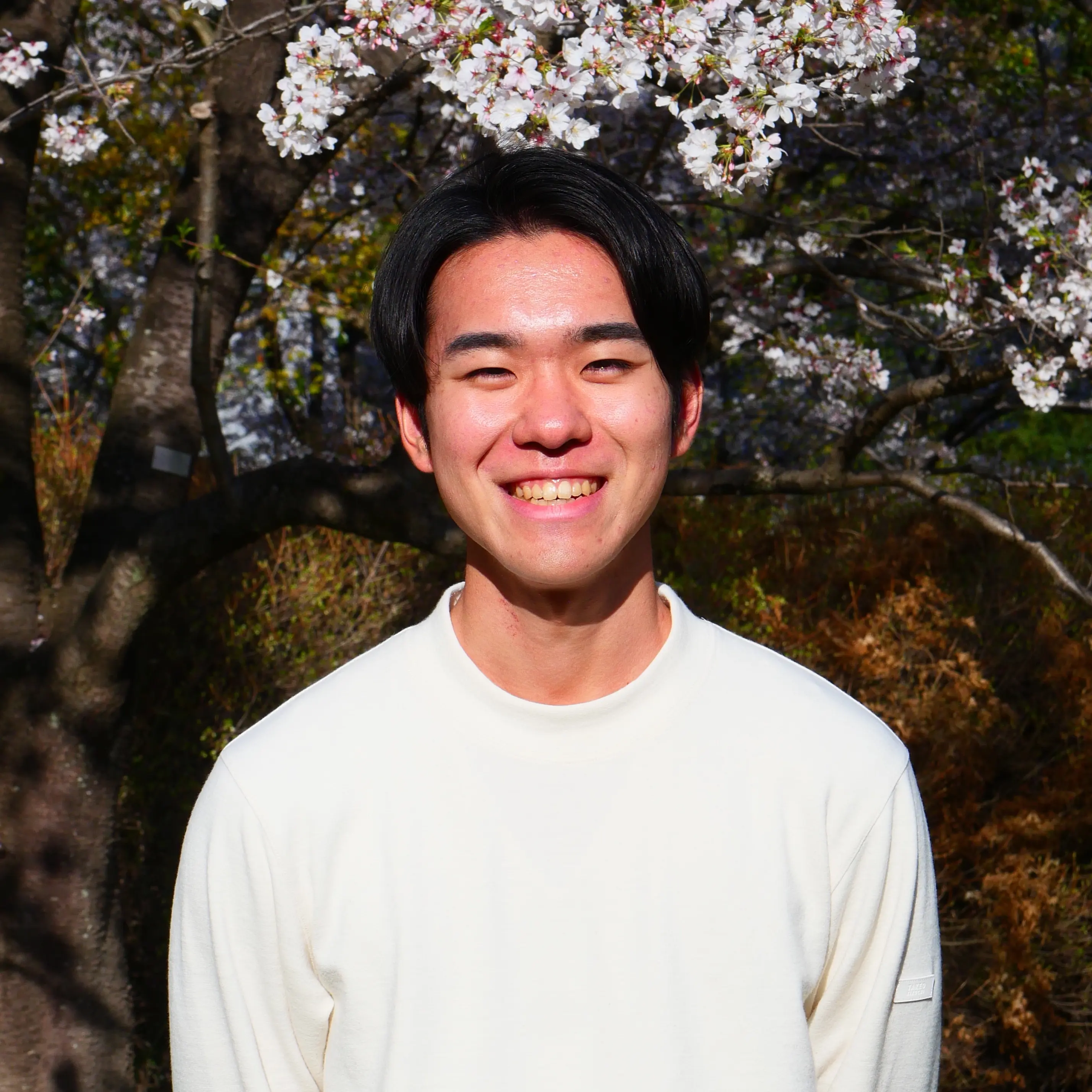 新村洸太郎の画像